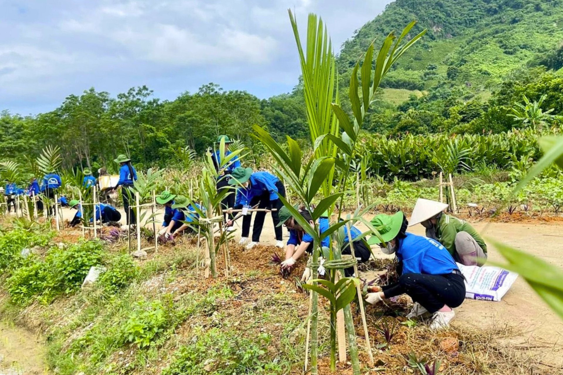 Những người trẻ tình nguyện mang cuộc sống xanh lên vùng cao